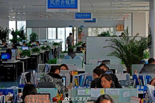 中企云鏈 以創(chuàng)新金融科技服務(wù)安心扎根，以信息技術(shù)咨詢服務(wù)舒心發(fā)展